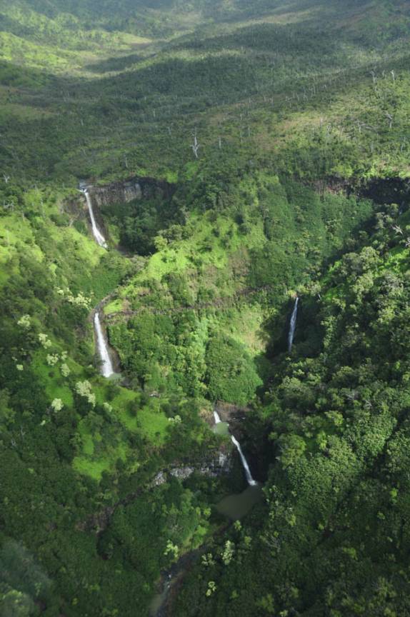 São dezenas de cachoeiras que avistamos durante o sobrevoo de Kauai, no Havaí